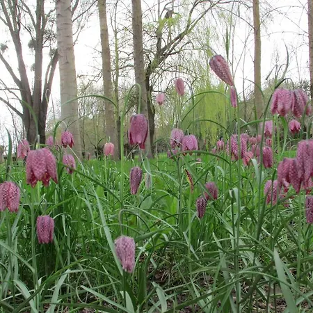 Semesterbostad Des Goganes *